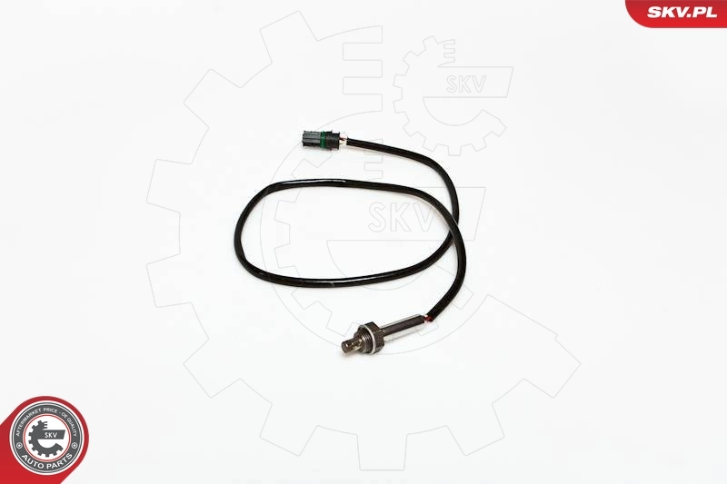Oxygen Sensor